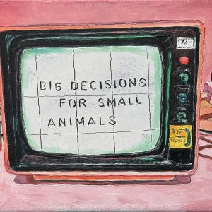Big Decisions for Small Animals (Marcel Kerkhoff)