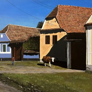 Cow in Viscri (David Connolly)