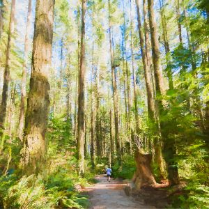 The Forest for the Trees (Lara Shecter)
