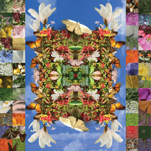 Untitled Portal 10 - Laura Kay Keeling (Tangled Art + Disability)