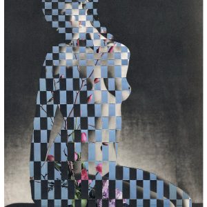 Encoded Aesthetic (Erin McGean)
