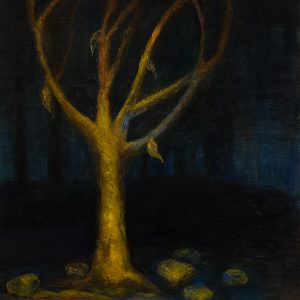 Stillness in the dark woods (Moojan Nazmi Ansari)
