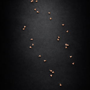 Unknown Constellation (Mina Talaee)