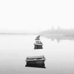 Remains of a Boardwalk (Scott Maracle)
