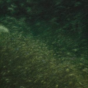 Land and sea IX (Curt Gaudon)