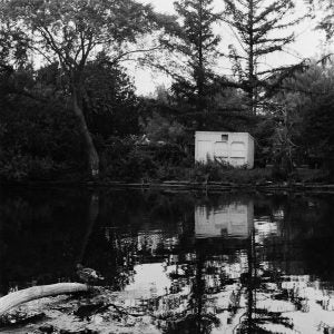 Sister Tree Reflections (Alex Hall)