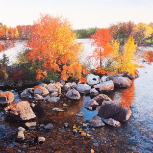 Scène d'automne (Buckhorn, ON) (Julie Desmarais)