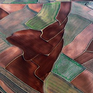 Fallow Fields (Stained Glass, Organic II) (Carolyn Cheng)