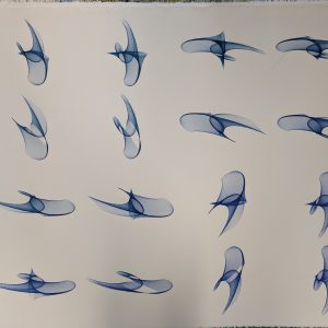 16 hirondelles (Jérôme Guilleaume)