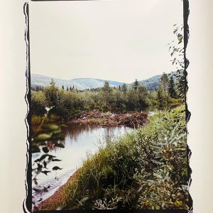 Beaver Dam on Poison River (Manny Wood Lynes-Ford)