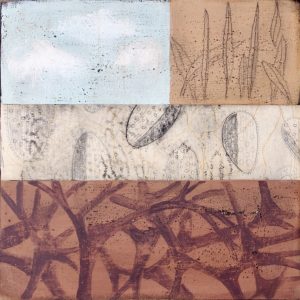 Connections/graine de vie (Line St Jean)