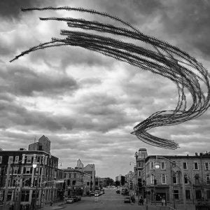 Grace in Flight (Raghuvamsh Chavali)