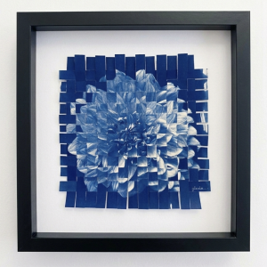 Dahlia entrelacé (Glenda Cast)