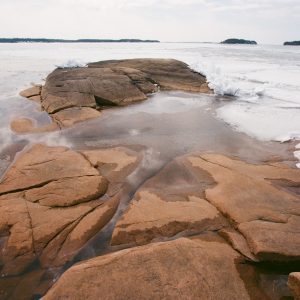 Release IV (Michael Bedford)