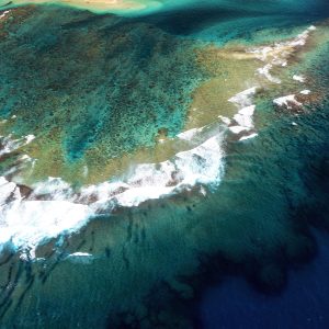Pacific Ocean (Meaghan Ogilvie)