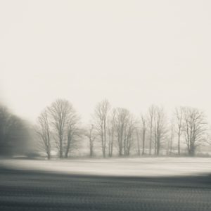 Cusp of Winter (#2 of 7) (Steve Kean)