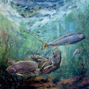 Arctic Graylings (Robyn Scott)